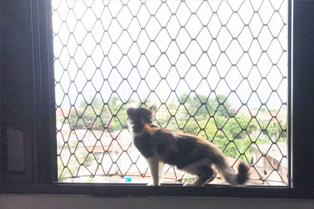 Telas de Proteção Para Gatos